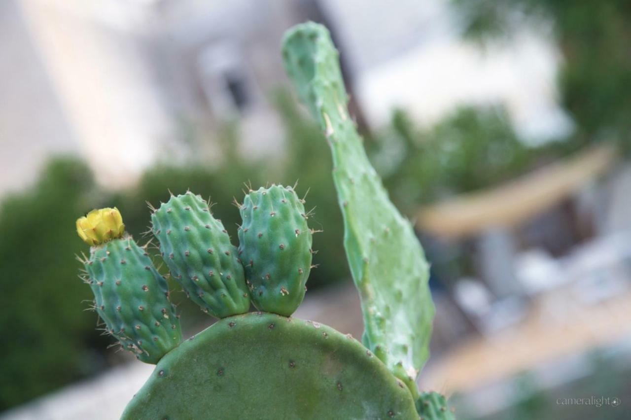 Il Giardino Delle Margherite Lecce Esterno foto