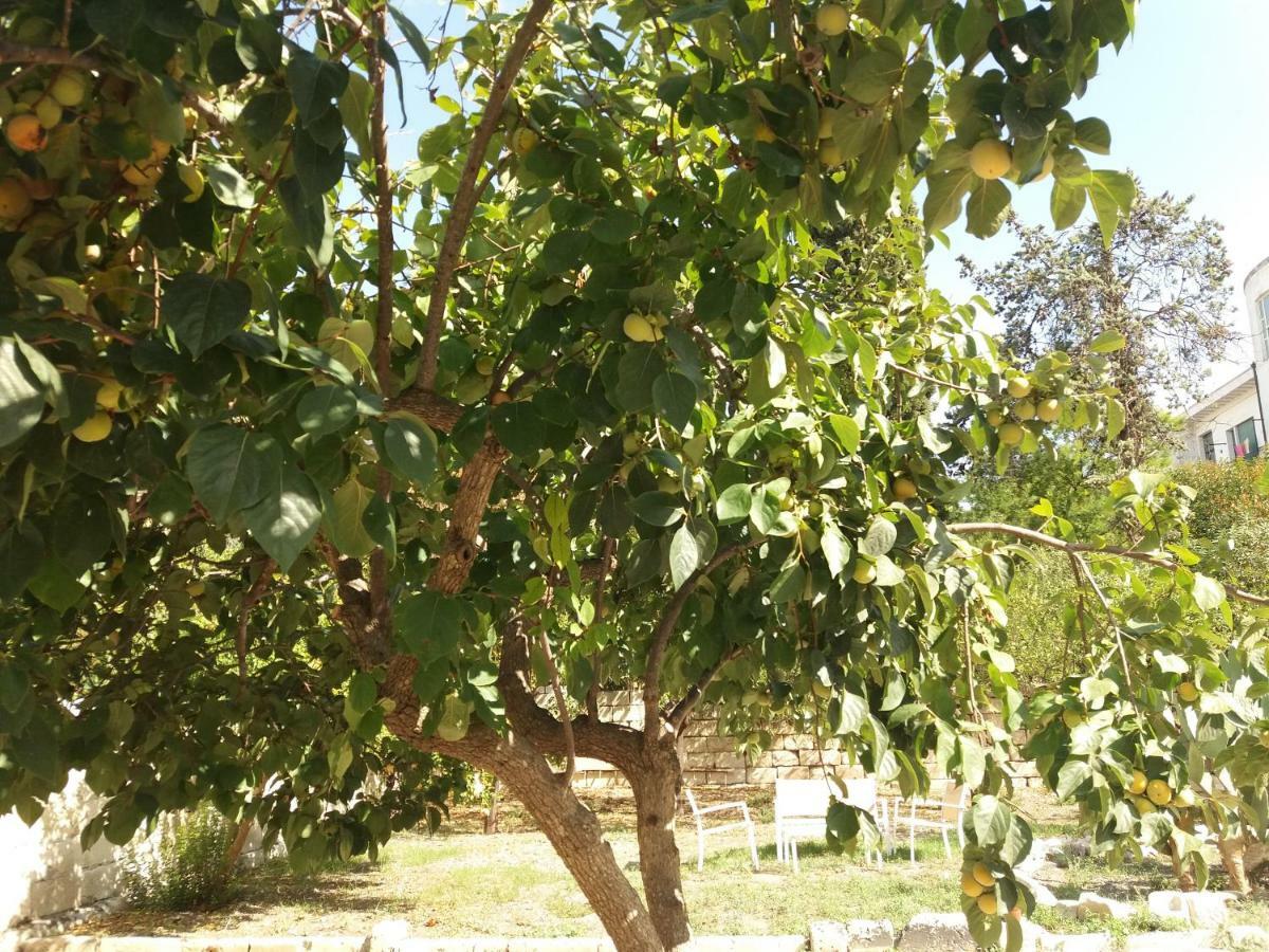 Il Giardino Delle Margherite Lecce Esterno foto