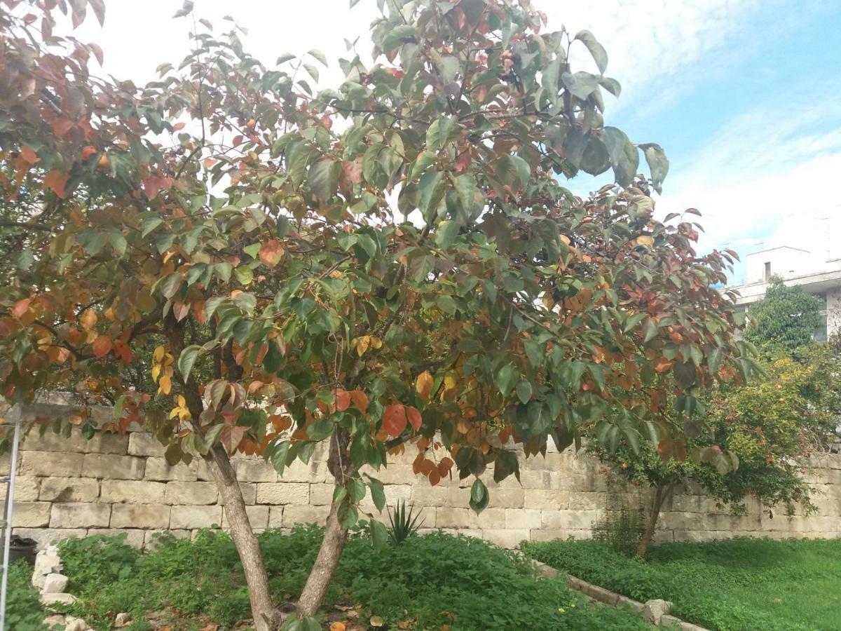 Il Giardino Delle Margherite Lecce Esterno foto