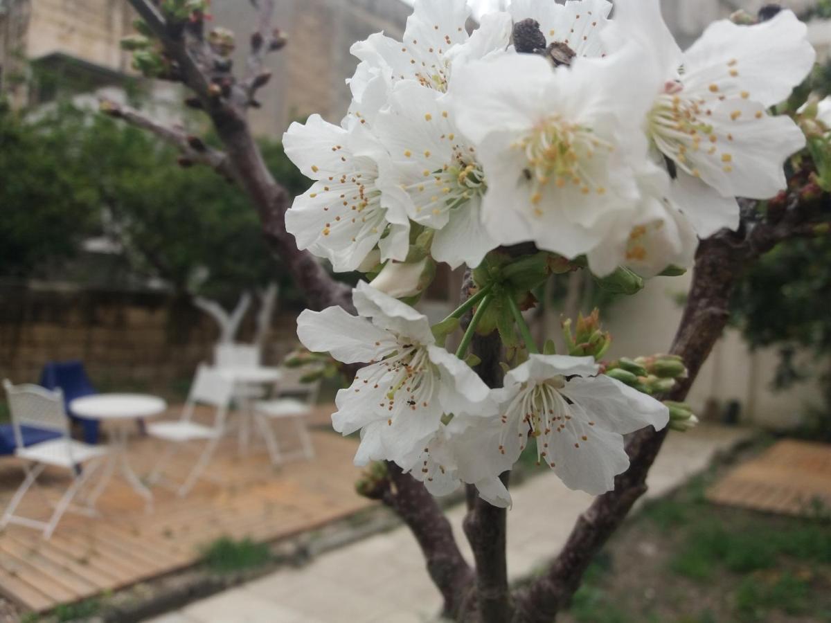 Il Giardino Delle Margherite Lecce Esterno foto